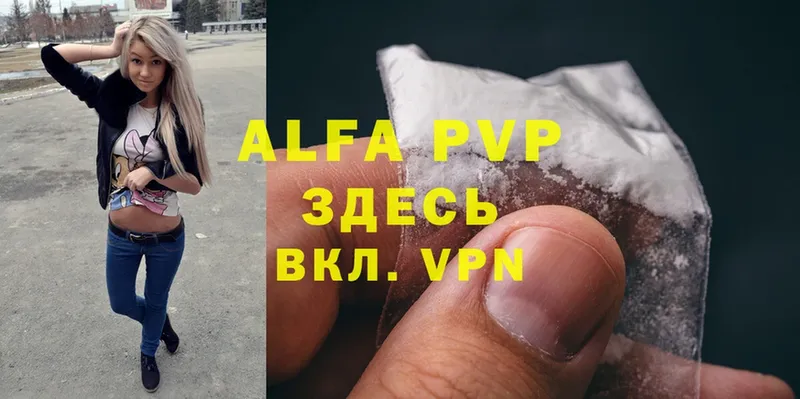 A PVP СК  Бронницы 